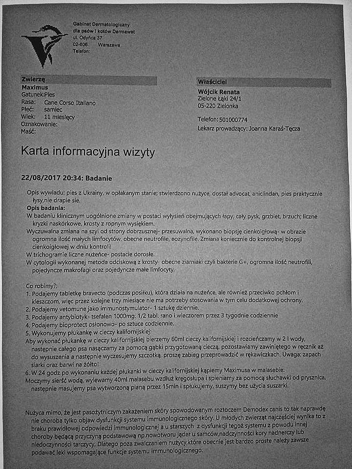 Maximus - karta informacyjna